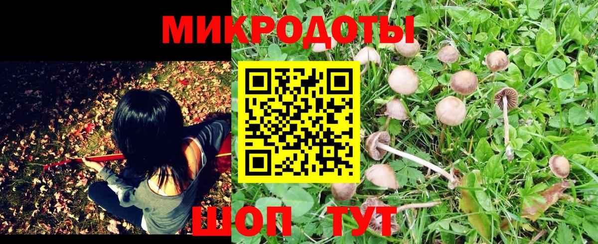 Сегежа  Псилоцибиновые грибы Psilocybine cubensis  Вход с VPN 